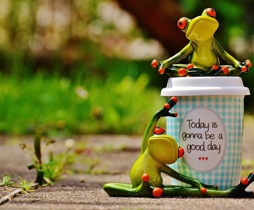 Two Frogs and a Cup: Today is gonna be a good day.