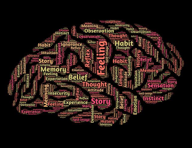 Word cloud related to mindset in shape of human brain